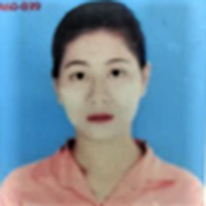 KBZPay TSE Agent