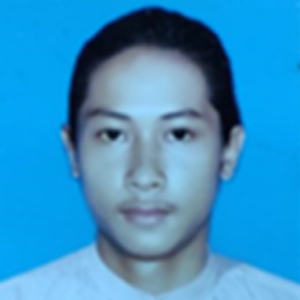 KBZPay TSE Agent