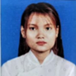 KBZPay TSE Agent