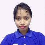 KBZPay TSE Agent 