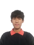 TSE Agent
