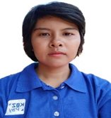 KBZPay TSE Agent